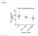 Fig. 11 - Targeting microRNAs for metabolic disorders