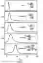 Fig. 04 - Interferon production using short RNA duplexes