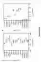 Fig. 06 - Interferon production using short RNA duplexes