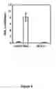 Fig. 11 - Interferon production using short RNA duplexes