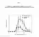 Fig. 04 - Aptamer to IL-17 and use thereof