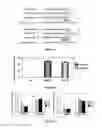 Fig. 02 - Materials and Methods Useful For Affecting Tumor Cell Growth, Migration and Invasion