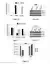 Fig. 03 - Materials and Methods Useful For Affecting Tumor Cell Growth, Migration and Invasion