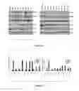 Fig. 04 - Materials and Methods Useful For Affecting Tumor Cell Growth, Migration and Invasion