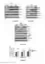Fig. 09 - Materials and Methods Useful For Affecting Tumor Cell Growth, Migration and Invasion