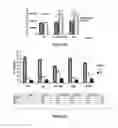 Fig. 10 - Materials and Methods Useful For Affecting Tumor Cell Growth, Migration and Invasion