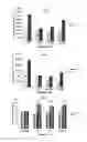 Fig. 16 - Materials and Methods Useful For Affecting Tumor Cell Growth, Migration and Invasion