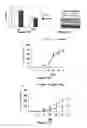 Fig. 25 - Materials and Methods Useful For Affecting Tumor Cell Growth, Migration and Invasion