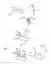 Fig. 09 - COMPOSITIONS AND METHODS OF NUCLEIC ACID-TARGETING NUCLEIC ACIDS