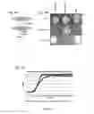 Fig. 05 - Constructs and methods for genome editing and genetic engineering of fungi and protists