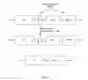 Fig. 09 - Constructs and methods for genome editing and genetic engineering of fungi and protists