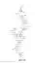 Fig. 05 - P-coumaroyl-CoA:monolignol transferase