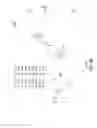 Fig. 09 - P-coumaroyl-CoA:monolignol transferase