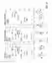 Fig. 42 - P-coumaroyl-CoA:monolignol transferase