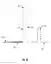 Fig. 02 - COMPOSITIONS AND METHODS OF NUCLEIC ACID-TARGETING NUCLEIC ACIDS