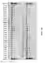 Fig. 40 - COMPOSITIONS AND METHODS OF NUCLEIC ACID-TARGETING NUCLEIC ACIDS