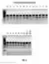 Fig. 54 - COMPOSITIONS AND METHODS OF NUCLEIC ACID-TARGETING NUCLEIC ACIDS
