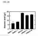 Fig. 26 - Enhanced itaconic acid production in with increased expression