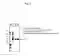 Fig. 03 - DNA encoding novel enzyme having D-serine synthase activity, method of producing the enzyme and method of producing D-serine by using the same