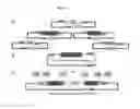 Fig. 08 - Versatile genetic assembly system (VEGAS) to assemble pathways for expression