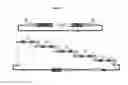 Fig. 10 - Versatile genetic assembly system (VEGAS) to assemble pathways for expression