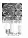 Fig. 14 - Versatile genetic assembly system (VEGAS) to assemble pathways for expression