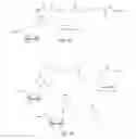 Fig. 02 - Reusable initiators for synthesizing nucleic acids