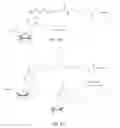 Fig. 08 - Reusable initiators for synthesizing nucleic acids