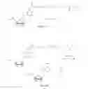 Fig. 09 - Reusable initiators for synthesizing nucleic acids