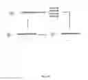 Fig. 20 - Reusable initiators for synthesizing nucleic acids