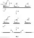 Fig. 06 - Compostions and methods of nucleic acid-targeting nucleic acids