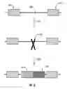 Fig. 20 - Compostions and methods of nucleic acid-targeting nucleic acids