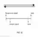 Fig. 31 - Methods and compositions for multiplex PCR