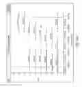 Fig. 41 - Methods and compositions for multiplex PCR