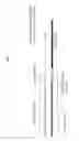 Fig. 12 - Transposon nucleic acids comprising a calibration sequence for DNA sequencing