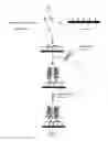 Fig. 02 - Robust Detection of Nucleic Acids in Situ