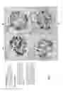 Fig. 06 - Robust Detection of Nucleic Acids in Situ