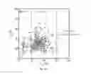 Fig. 06 - Detection of nucleic acids