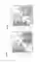 Fig. 07 - In vitro method of predictive assessment of the prospects of success of an implant and/or transplant