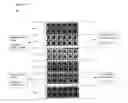 Fig. 20 - Nanoprobe-based genetic testing