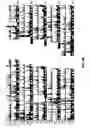 Fig. 06 - Common and rare genetic variations associated with common variable immunodeficiency (CVID) and methods of use thereof for the treatment and diagnosis of the same