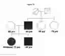 Fig. 24 - Common and rare genetic variations associated with common variable immunodeficiency (CVID) and methods of use thereof for the treatment and diagnosis of the same