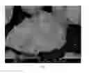 Fig. 03 - Inoculant with surface particles