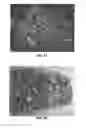 Fig. 19 - Process and system for de-coating of aluminum scrap contaminated with organic coatings