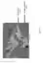 Fig. 05 - COMPOSITE COATING MATERIAL WITH AMORPHOUS-CONTAINING MATRIX
