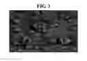 Fig. 04 - Method for manufacturing nanowires