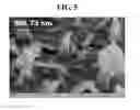 Fig. 06 - Method for manufacturing nanowires