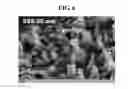 Fig. 07 - Method for manufacturing nanowires