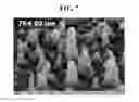 Fig. 08 - Method for manufacturing nanowires