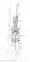 Fig. 01 - MOUNT FOR DECORATIVE ELEMENT